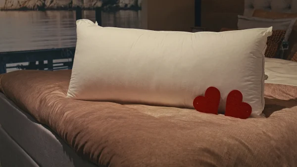 love_pillow_1.5.1 1